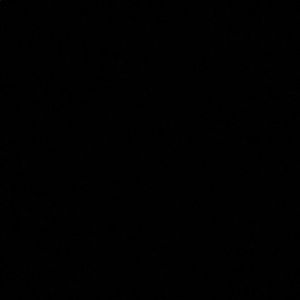 Meet your Posher, Carina